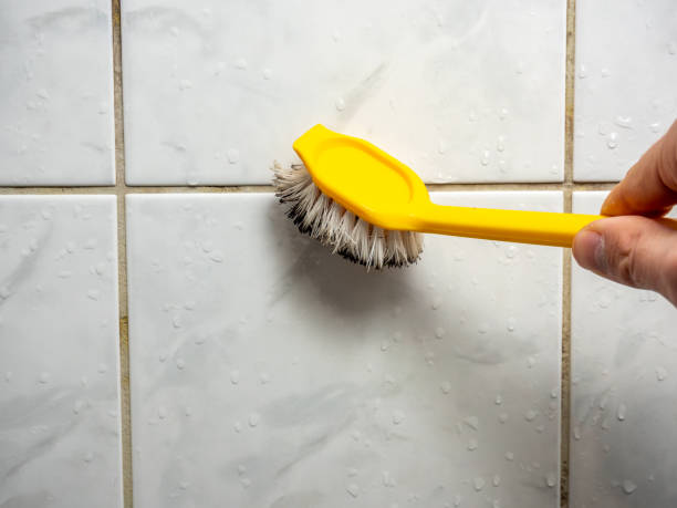  East Quincy, CA Mold Removal Pros