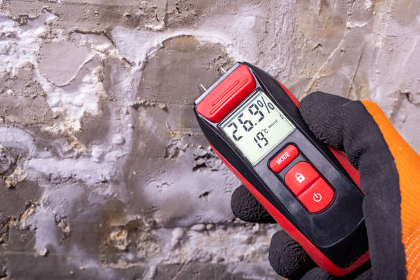 Best Certified Mold Removal  in East Quincy, CA